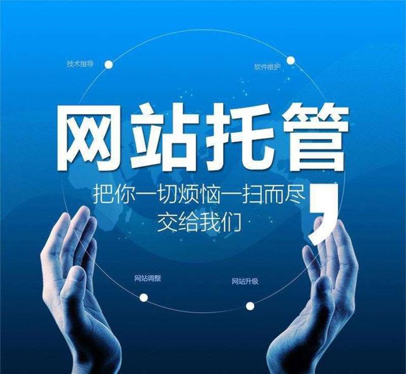 AI全自动养站程序引领新时代的营销趋势